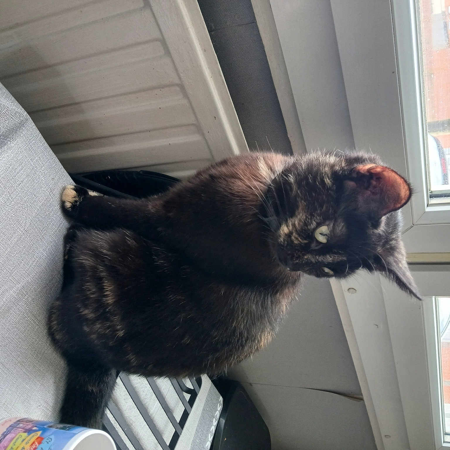 Lili