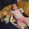 baby, infant, child, dog, pet, bulldog, companion, sleeping, lying_down, pink_clothing, white_mittens, socks, couch, blanket, carpet, indoors, portrait, family, cute, animal