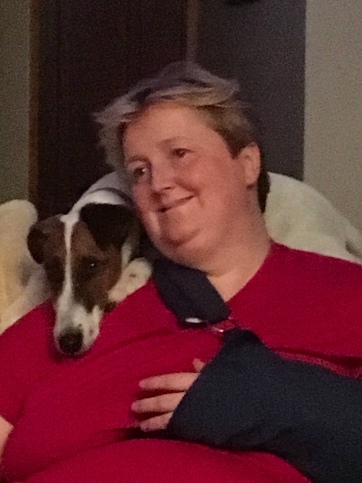 Tibeau joined the competition — help win amazing prizes! canidae, carnivore, companion_dog, danish_swedish_farmdog, dog, dog_breed, fox_terrier, jack_russell_terrier, mammal, rat_terrier, russell_terrier, smooth_fox_terrier, sporting_group