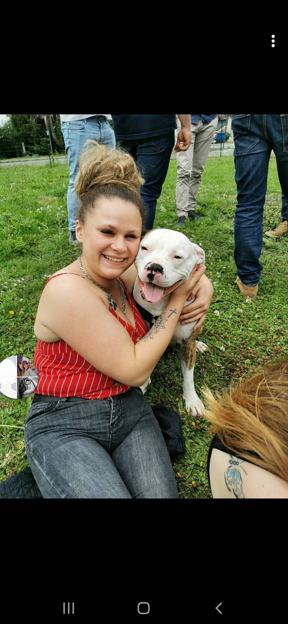 Oly participe au concours pour gagner de l'argent avec cette photo : american_bulldog, american_pit_bull_terrier, bulldog, canidae, carnivore, companion_dog, dog, dog_breed, dogo_argentino, fawn, mammal, non_sporting_group, perro_de_presa_mallorquin, pit_bull, puppy_love, sporting_group, vertebrate