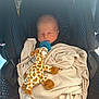 newborn, baby, sleeping, blanket, car_seat, pacifier, plush_toy, giraffe, infant, child, soft_toy, wrapped, resting, indoor, cute, peaceful, comfort, car, seat, portrait