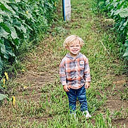 Archie is registered to the contest to win money with this photo: child, boy, toddler, smiling, portrait, outdoor, garden, sunflower, flowers, greenery, plants, field, grass, path, nature, plaid_shirt, jeans, sneakers, blond_hair, daylight