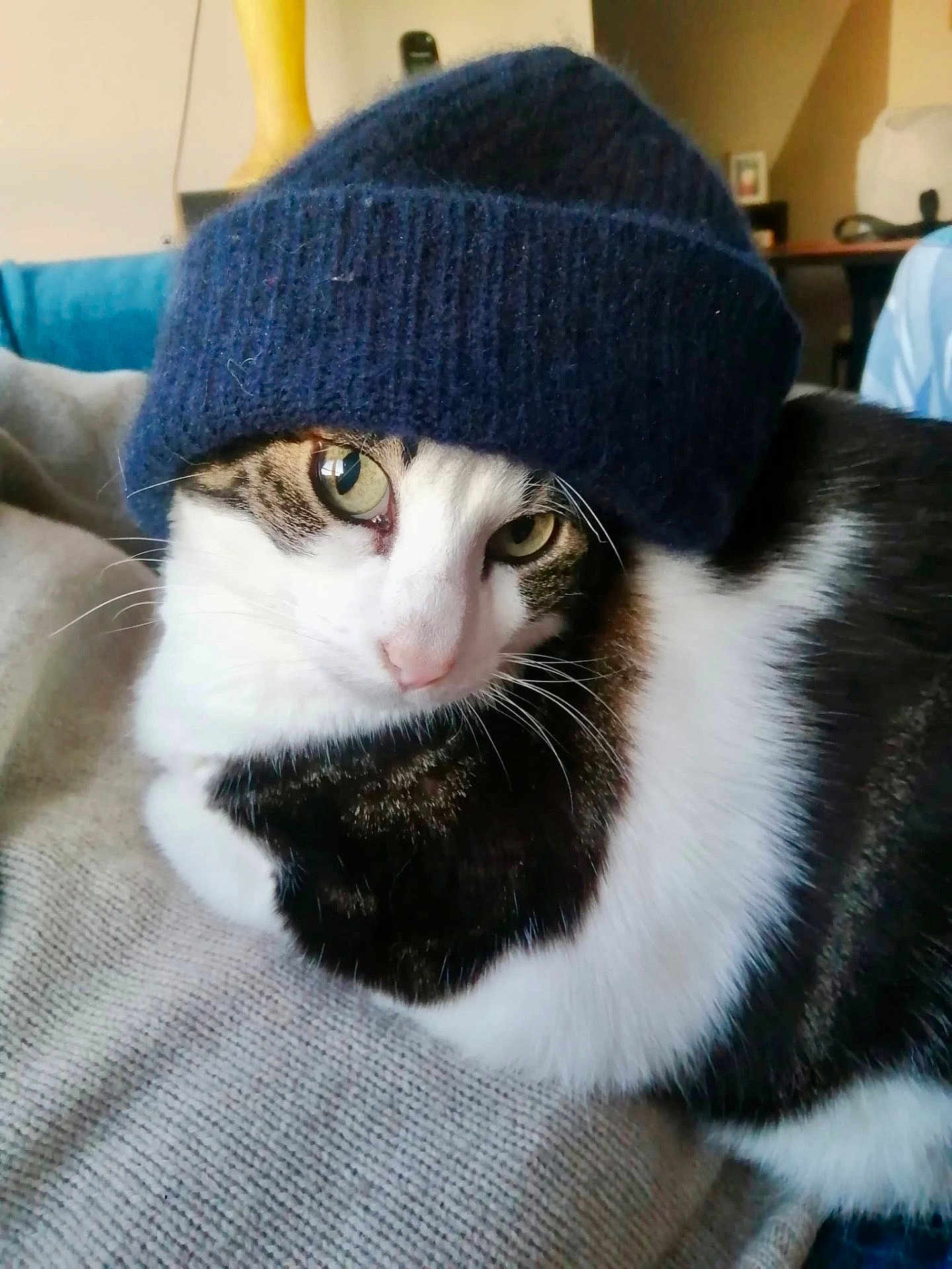 Niko