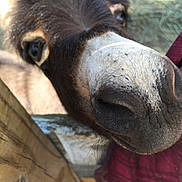 Darla is registered to the contest to win money with this photo: