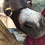Darla is registered to the contest to win money with this photo: