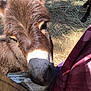 Darla is registered to the contest to win money with this photo: