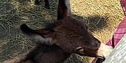 Darla is registered to the contest to win money with this photo: