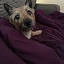Jake is registered to the contest to win money with this photo: