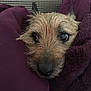 Jake is registered to the contest to win money with this photo: