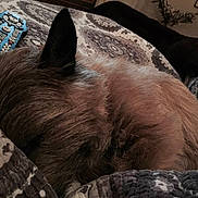 Jake is registered to the contest to win money with this photo: