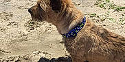 Jake is registered to the contest to win money with this photo: