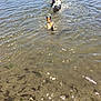 Jake is registered to the contest to win money with this photo: