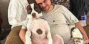 Reina is registered to the contest to win money with this photo: man, dog, large_dog, small_dog, couch, indoor, leopard_print_blanket, casual_clothing, brown_couch, relaxed, pet, domestic, home_interior, seated, hand, floor, curtains, bottle, white_tshirt, friendly