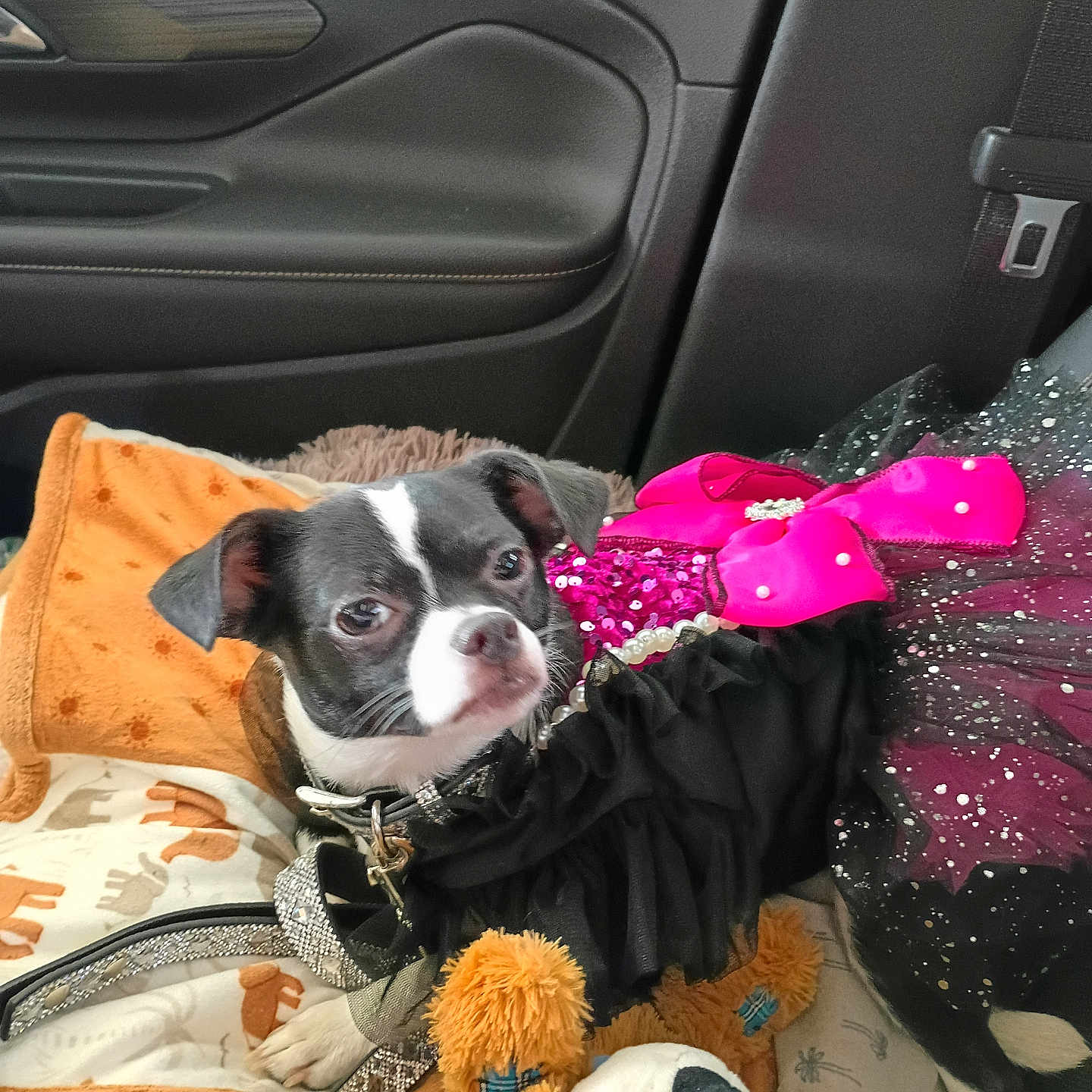 Bella