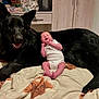 baby, black_dog, dog, bed, blanket, smiling, indoor, furniture, sleeping, cute, pet, animal, person, infant, resting, white_clothing, peaceful, cozy, domestic, friendship