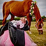 baby, flower_crown, horse, chestnut, saddle, pink_tutu, grass, outdoor, field, sleeping, animal, nature, pasture, flower_decor, infant, peaceful, cute, headgear, grazing, sky