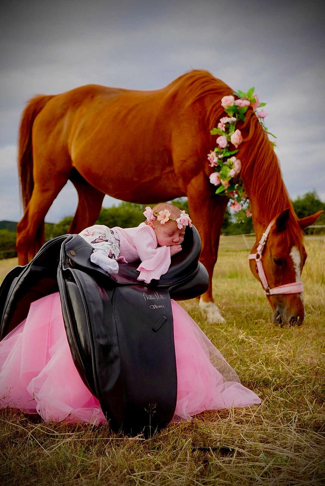 Katelyn is registered to the contest to win money with this photo: baby, flower_crown, horse, chestnut, saddle, pink_tutu, grass, outdoor, field, sleeping, animal, nature, pasture, flower_decor, infant, peaceful, cute, headgear, grazing, sky