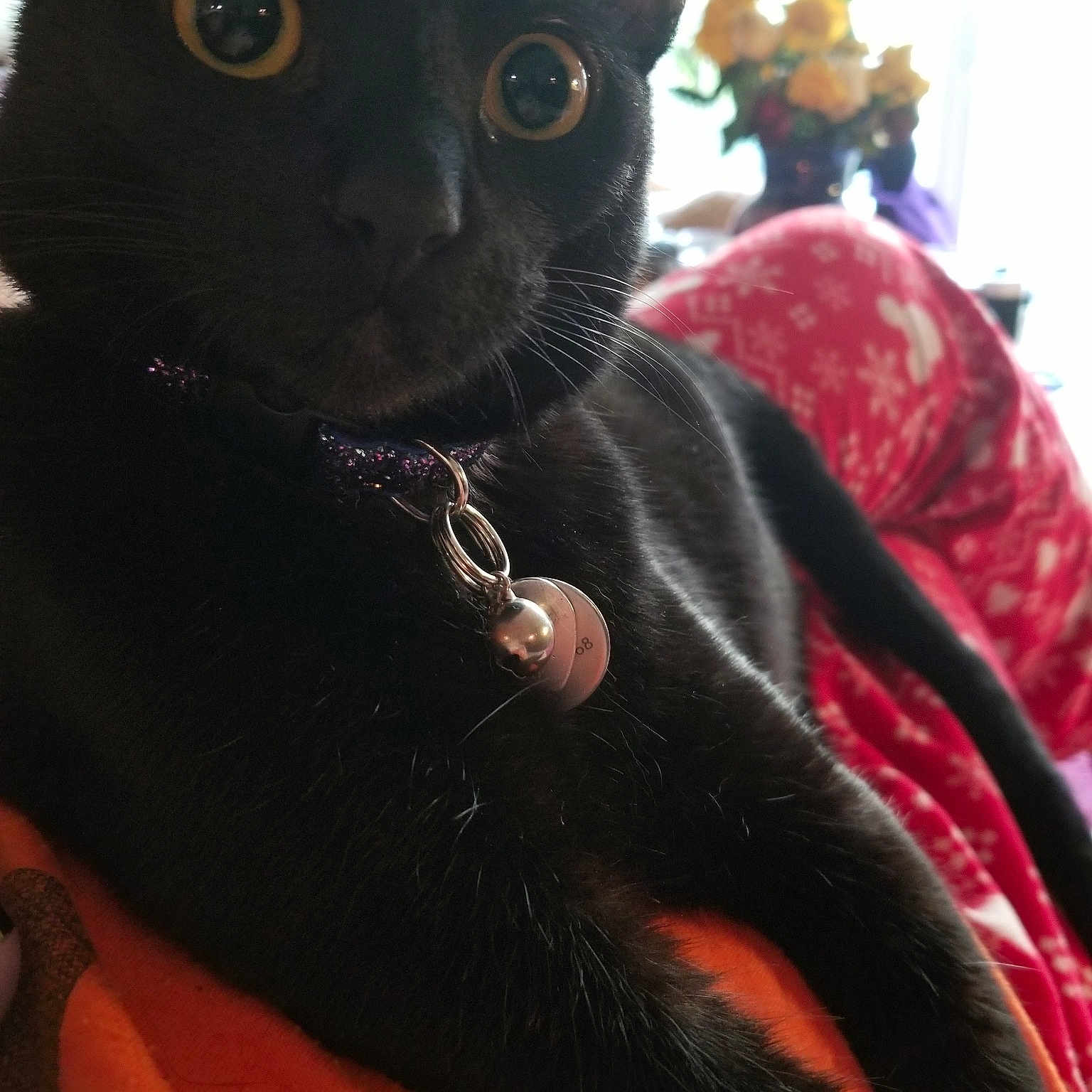 Bastet