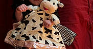 Bella joined the competition — help win amazing prizes! adorable, baby, blanket, bow, child, clothing, cow_print, cute, headband, indoor, infant, lying_down, patterned_clothing, person, plush_toy, portrait, red_background, socks, soft_toy, young_child