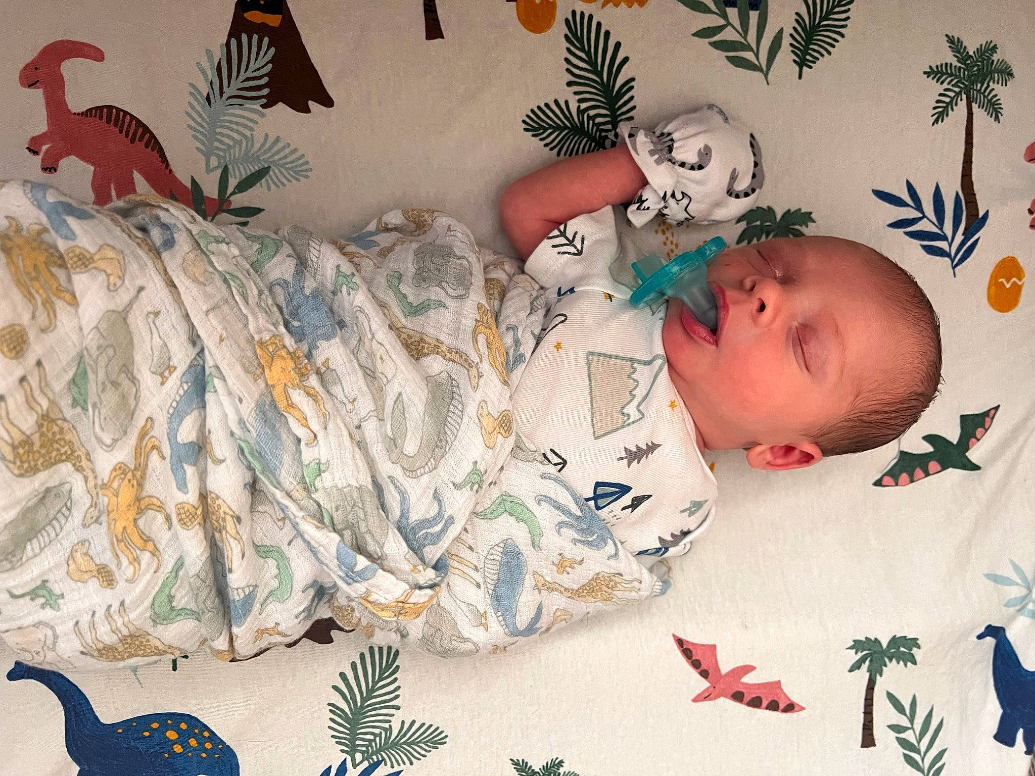 Atlas is registered to the contest to win money with this photo: art, baby, baby_products, baby_sleeping, baby_toddler_clothing, bird, blue, carmine, child, comfort, design, happy, illustration, linens, pattern, person, phasianidae, product, room, textile