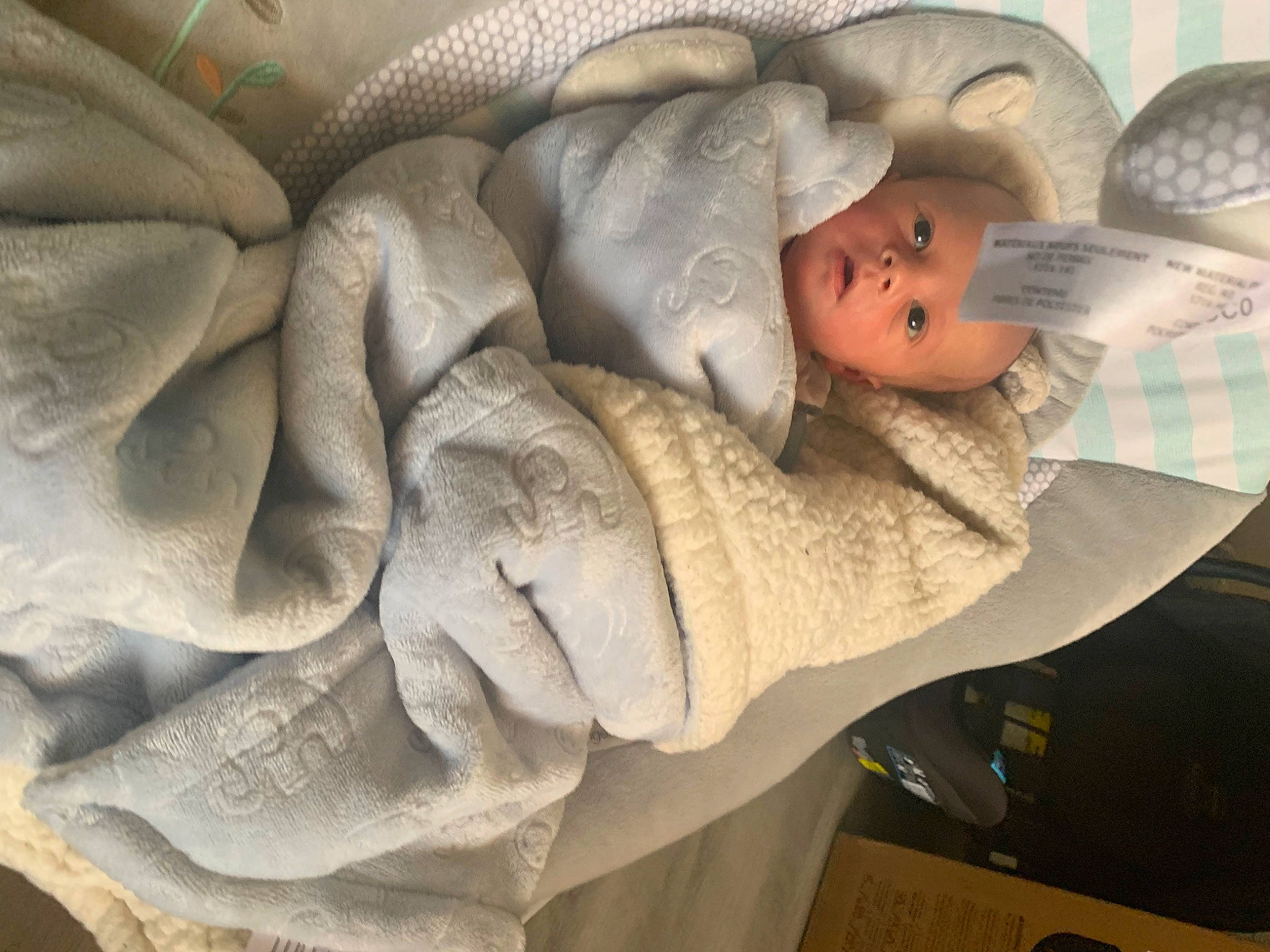 Kaiyzen is registered to the contest to win money with this photo: art, baby, baby_products, bedding, child, comfort, doll, fashion_accessory, fur, grey, hand, hat, headgear, headwear, linens, person, room, sculpture, statue, toy