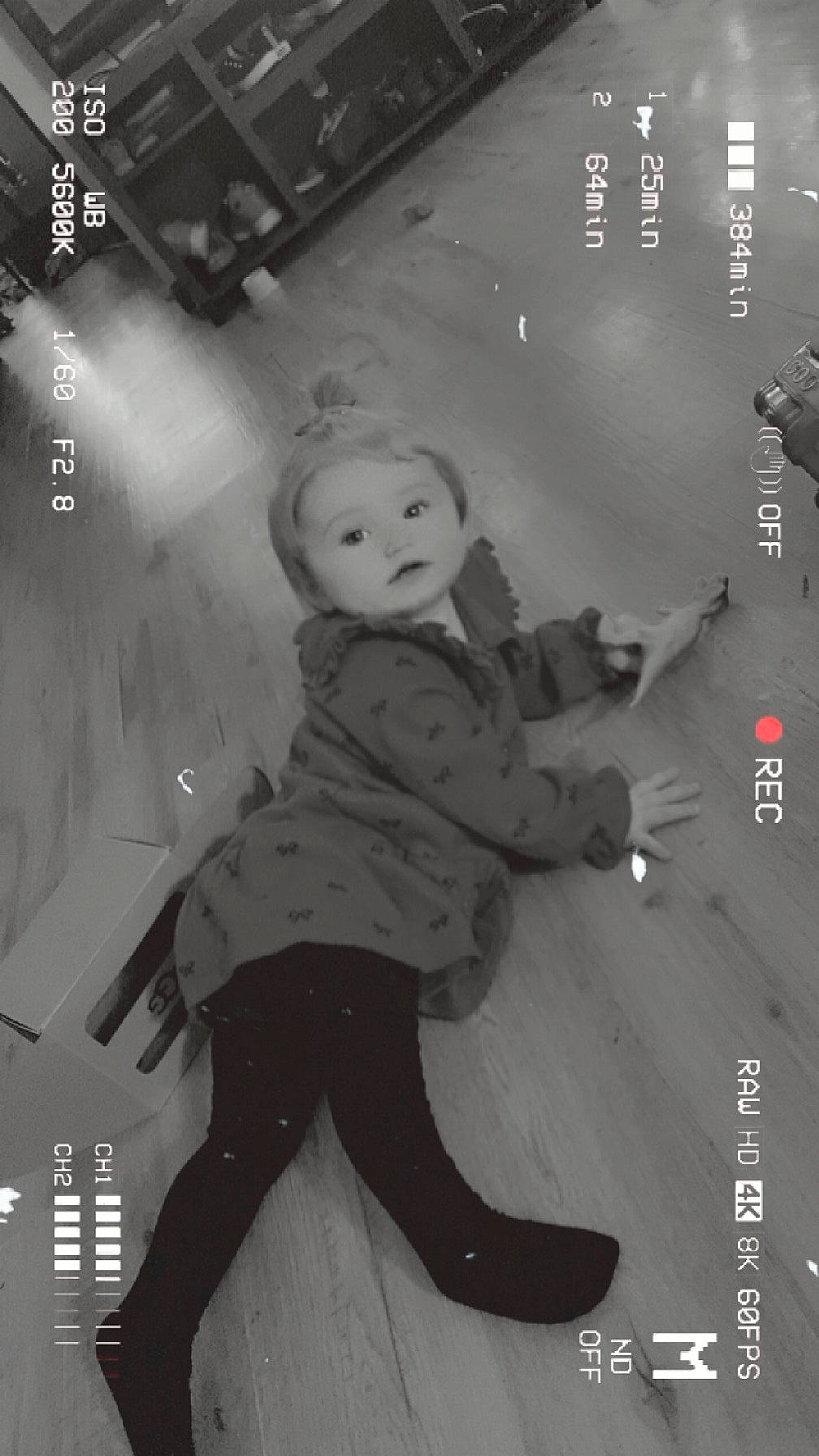 Aspen joined the competition — help win amazing prizes! black_and_white, darkness, fashion_design, fictional_character, flash_photography, font, fun, fur, happy, leg, monochrome, monochrome_photography, person, retro_style, room, sitting, standing, stock_photography, style, toddler