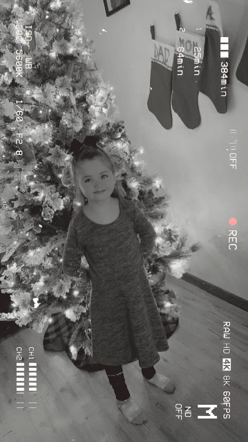 Annabelle is registered to the contest to win money with this photo: black, christmas, christmas_decoration, christmas_eve, christmas_ornament, christmas_tree, conifer, dress, event, evergreen, happy, holiday, holiday_ornament, joy, ornament, person, room, snapshot, standing, toddler