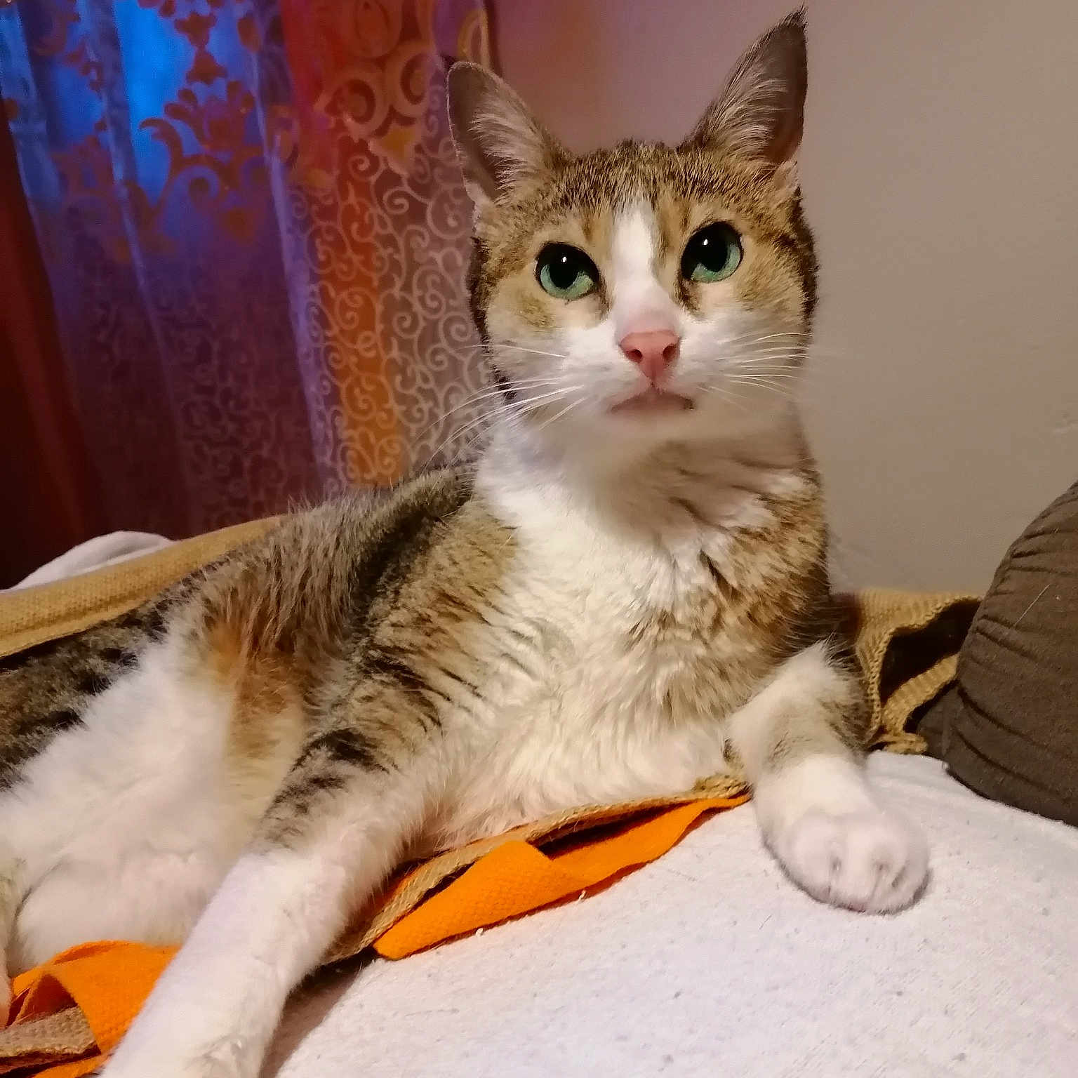 Giulietta