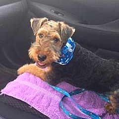 Bryn is registered to the contest to win money with this photo: