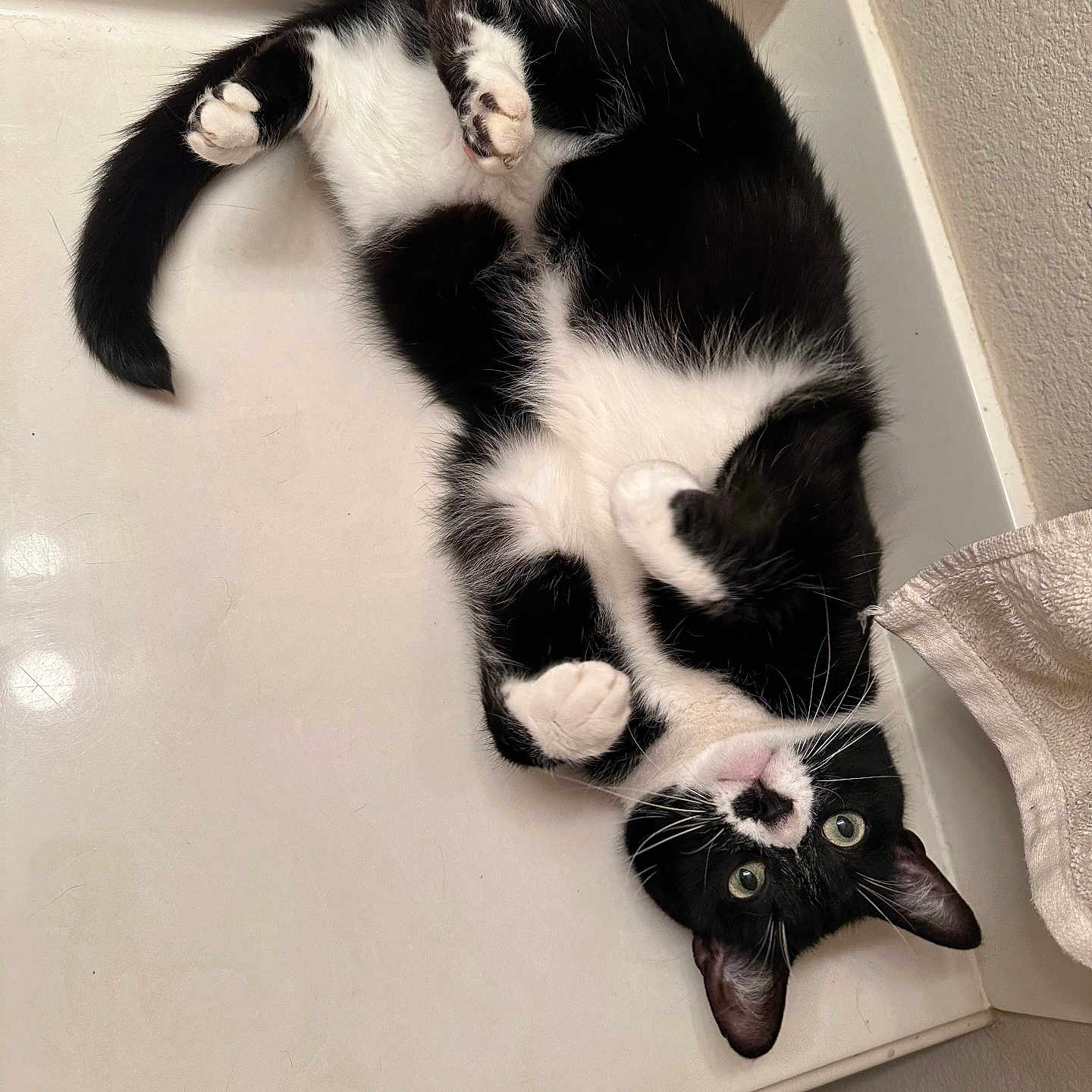 Boris