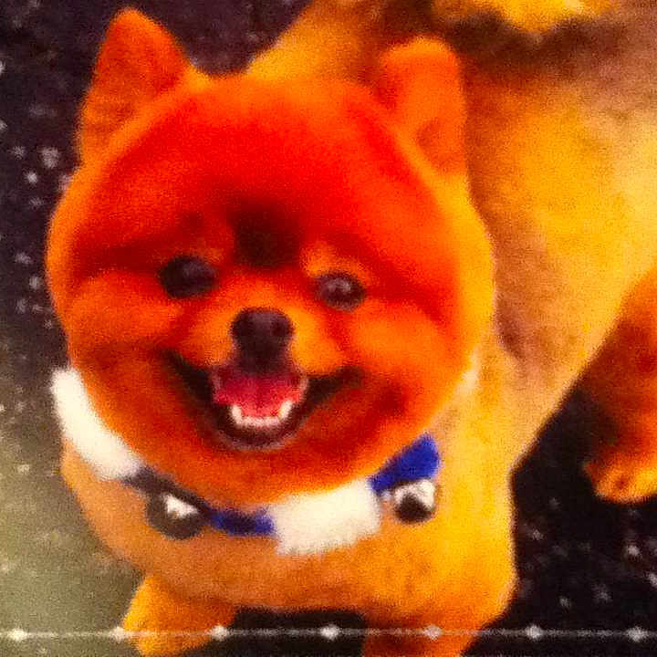 Taz Man