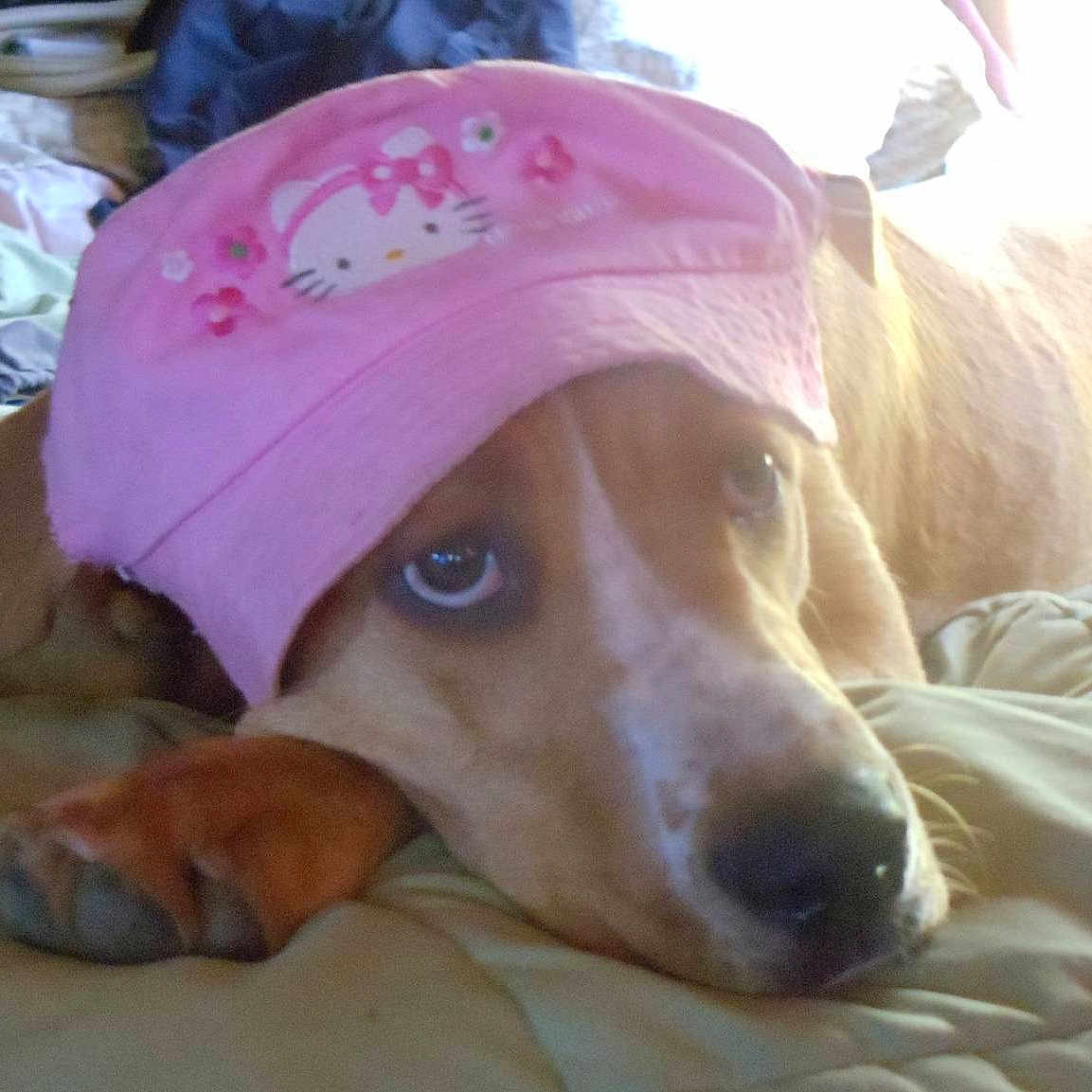 Lucy
