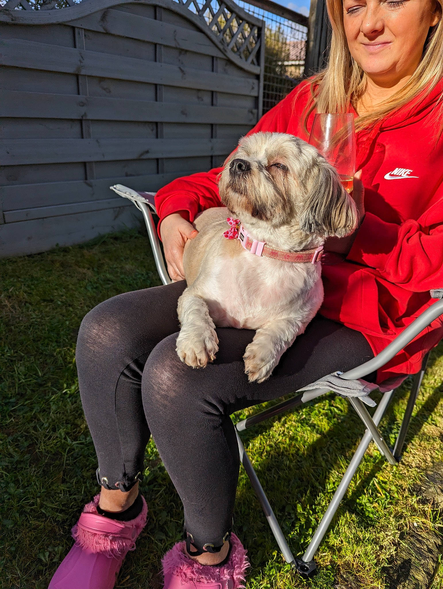 Coco joined the competition — help win amazing prizes! canidae, carnivore, companion_dog, dog, dog_breed, dog_clothes, dog_collar, fawn, fence, flip_flops, fur, grass, leash, sandal, shih_tzu, sitting, small_terrier, snout, sporting_group, toy_dog