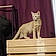 Le Chat
