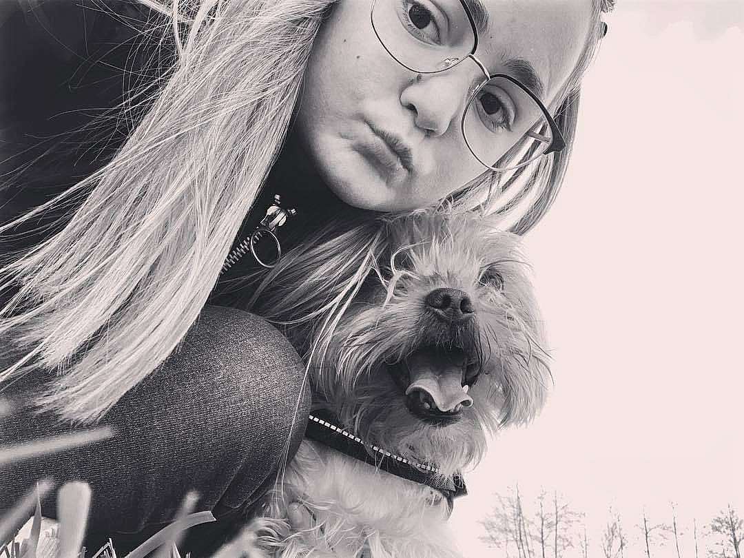 Mango participe au concours pour gagner de l'argent avec cette photo : beauty, black_and_white, carnivore, companion_dog, dog, dog_breed, eyewear, glasses, happy, liver, monochrome, monochrome_photography, nose, photograph, smile, snapshot, style, toy_dog, vision_care, white