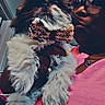 Mister joined the competition — help win amazing prizes! dog, pet, person, indoor, glasses, pink_shirt, crocheted_bow_tie, hat, hand, fluffy_fur, portrait, close_up, cozy, colorful, knit_hat, casual, holding_pet, cute, fashion, accessory