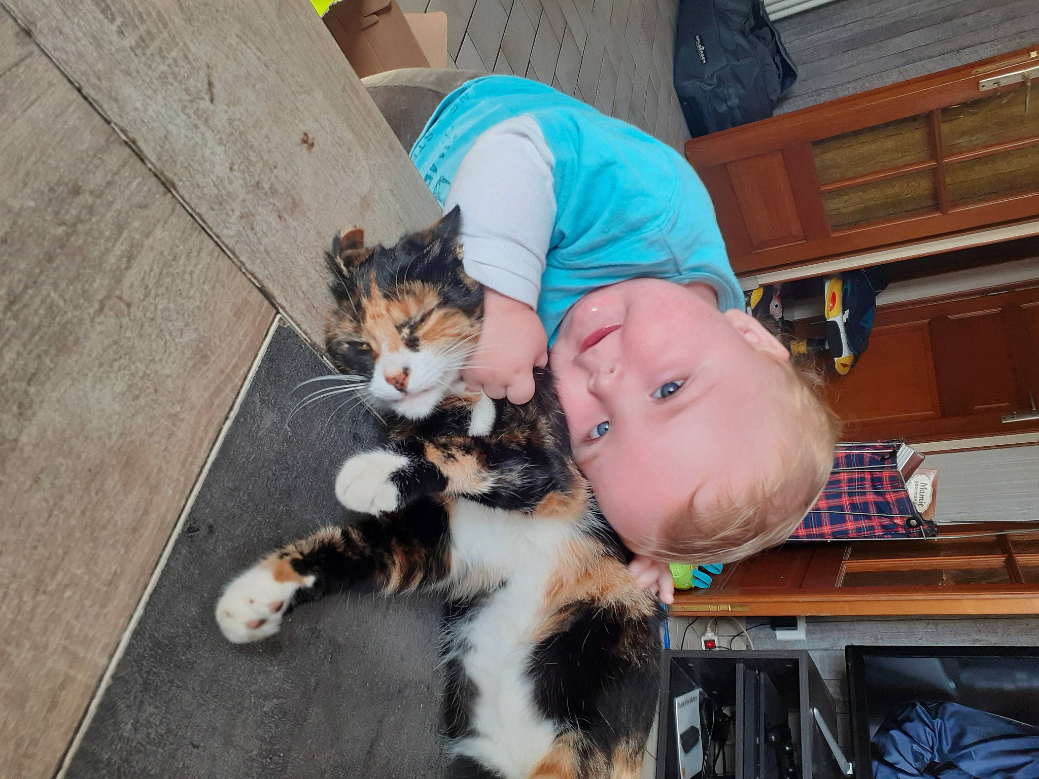 Sasha participe au concours pour gagner de l'argent avec cette photo : carnivore, cat, child, claw, companion_dog, dog_breed, domestic_short_haired_cat, felidae, fur, holiday, lap, person, sitting, small_to_medium_sized_cats, tail, toddler, tree, whiskers, wood