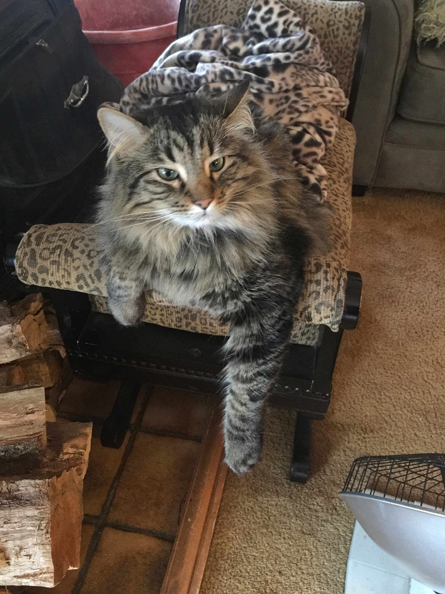 Gusgus