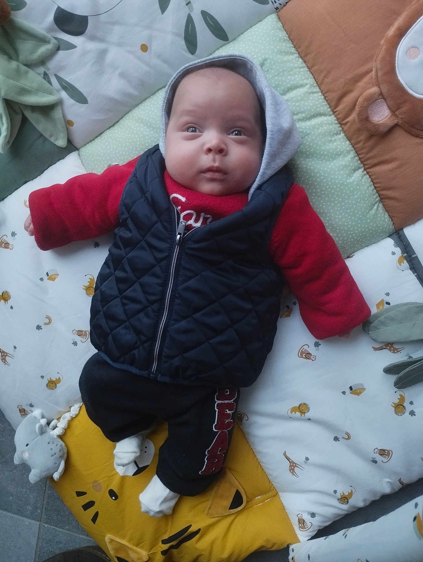 Sacha a rejoint le concours — aidez-le/la à gagner de superbes lots ! baby, infant, clothing, vest, sweater, hood, play_mat, animal_print, cute, child, indoors, floor, pouting, cozy, soft_toy, sock, lying_down, expression, young_child, comfort