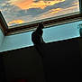 cat, silhouette, window, sunset, sky, clouds, indoor, animal, pet, evening, orange_sky, blue_sky, peaceful, contemplative, dark, shadows, feline, sitting, quiet, nature_view