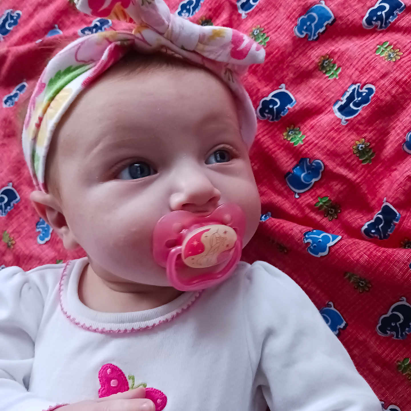 Iris joined the competition — help win amazing prizes! accessories, applique, baby, bodypart, bonnet, clothing, face, finger, food, hand, hat, head, headband, newborn, pattern, person, photography, portrait, quilt, sweets