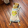 dog, puppy, pet, small_dog, lying_down, back_view, sweater, dog_clothing, heart, spoiled, collar, wooden_floor, hardwood, indoor, home, furniture, cabinet, curtain, fashion, cute