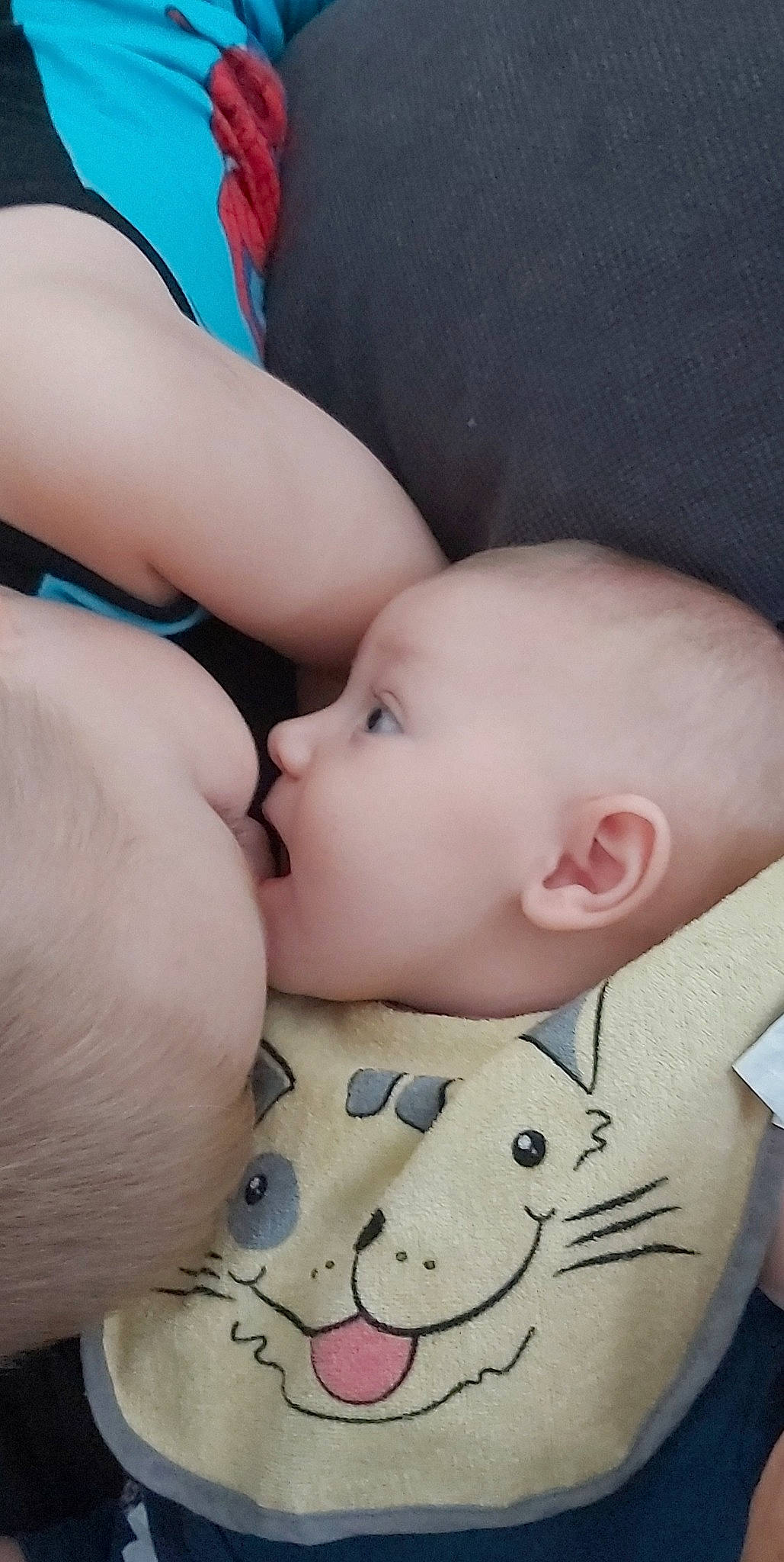 Elya a rejoint le concours — aidez-le/la à gagner de superbes lots ! cheek, chin, eye, eyebrow, eyelash, face, facial_expression, forehead, hair, hairstyle, head, human_body, joint, lip, mouth, muscle, nose, organ, person, skin