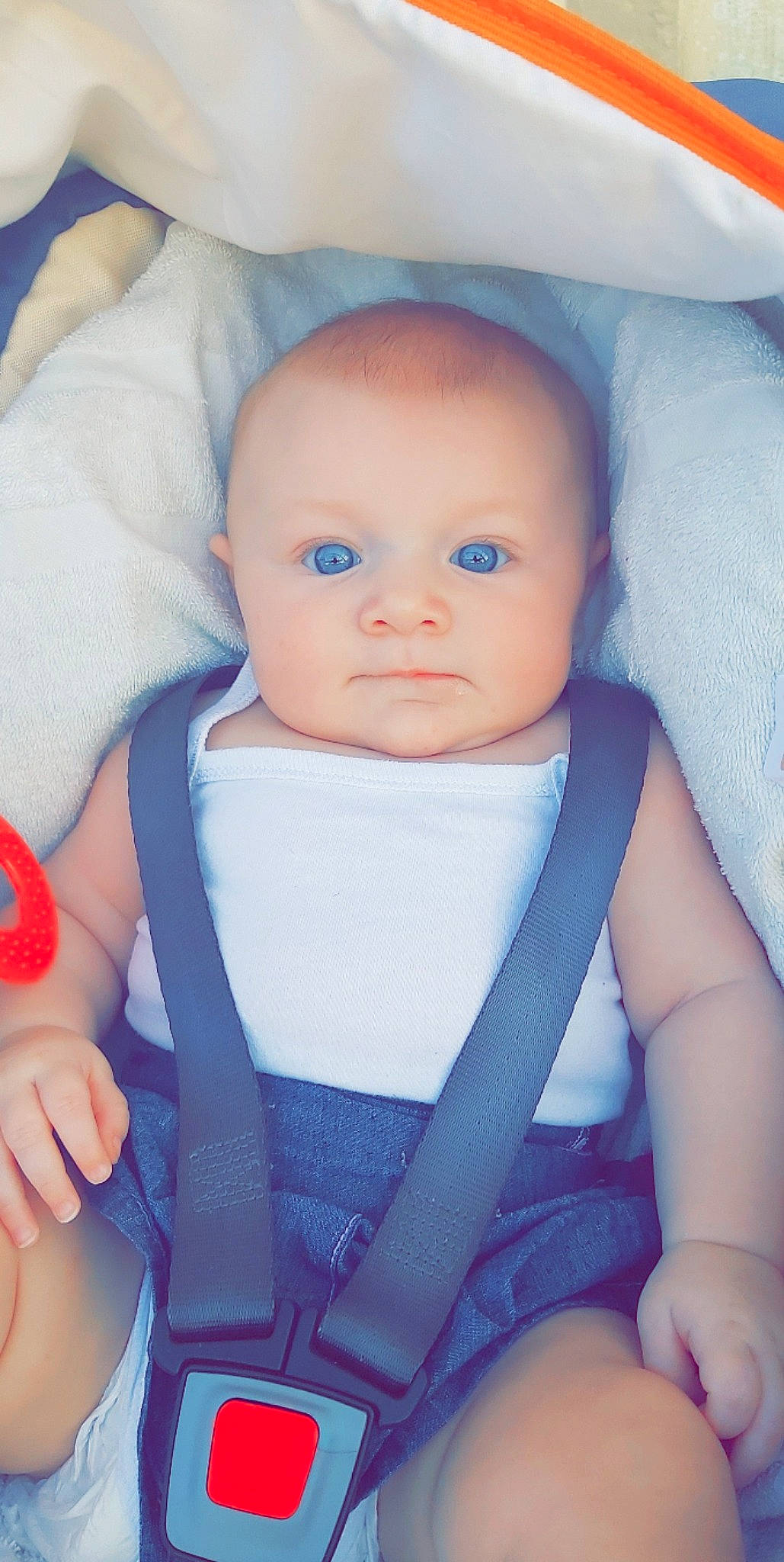 Elya participe au concours pour gagner de l'argent avec cette photo : aqua, azure, baby, baby_carriage, baby_safety, baby_toddler_clothing, blue, cheek, comfort, eye, eyebrow, finger, human_body, iris, mouth, outerwear, person, pink, skin, textile