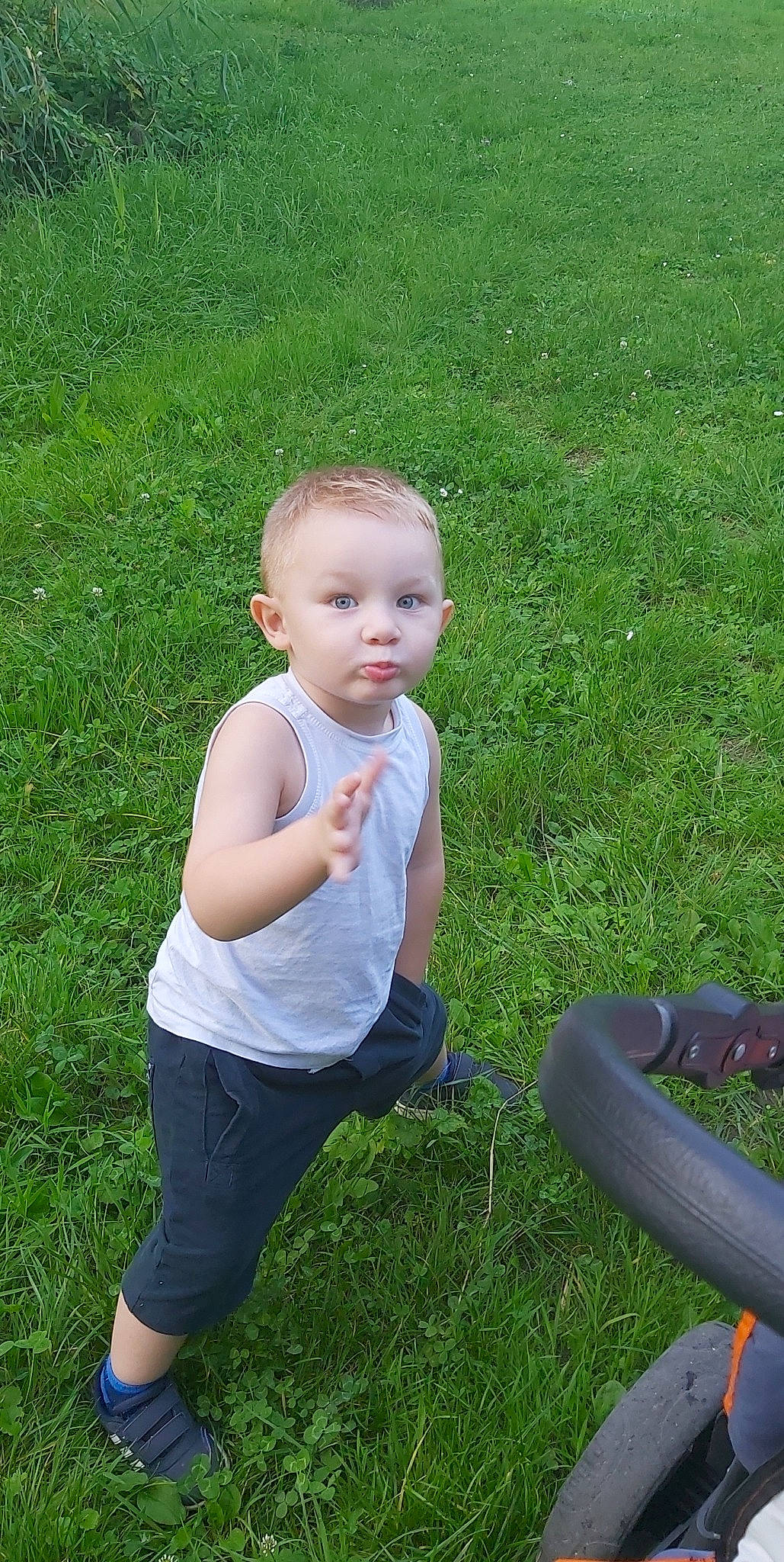 Inacio participe au concours pour gagner de l'argent avec cette photo : arm, baby_toddler_clothing, child, clothing, finger, fun, grass, grass_family, grassland, happy, head, human_body, lawn, leg, leisure, meadow, people_in_nature, person, plant, shorts