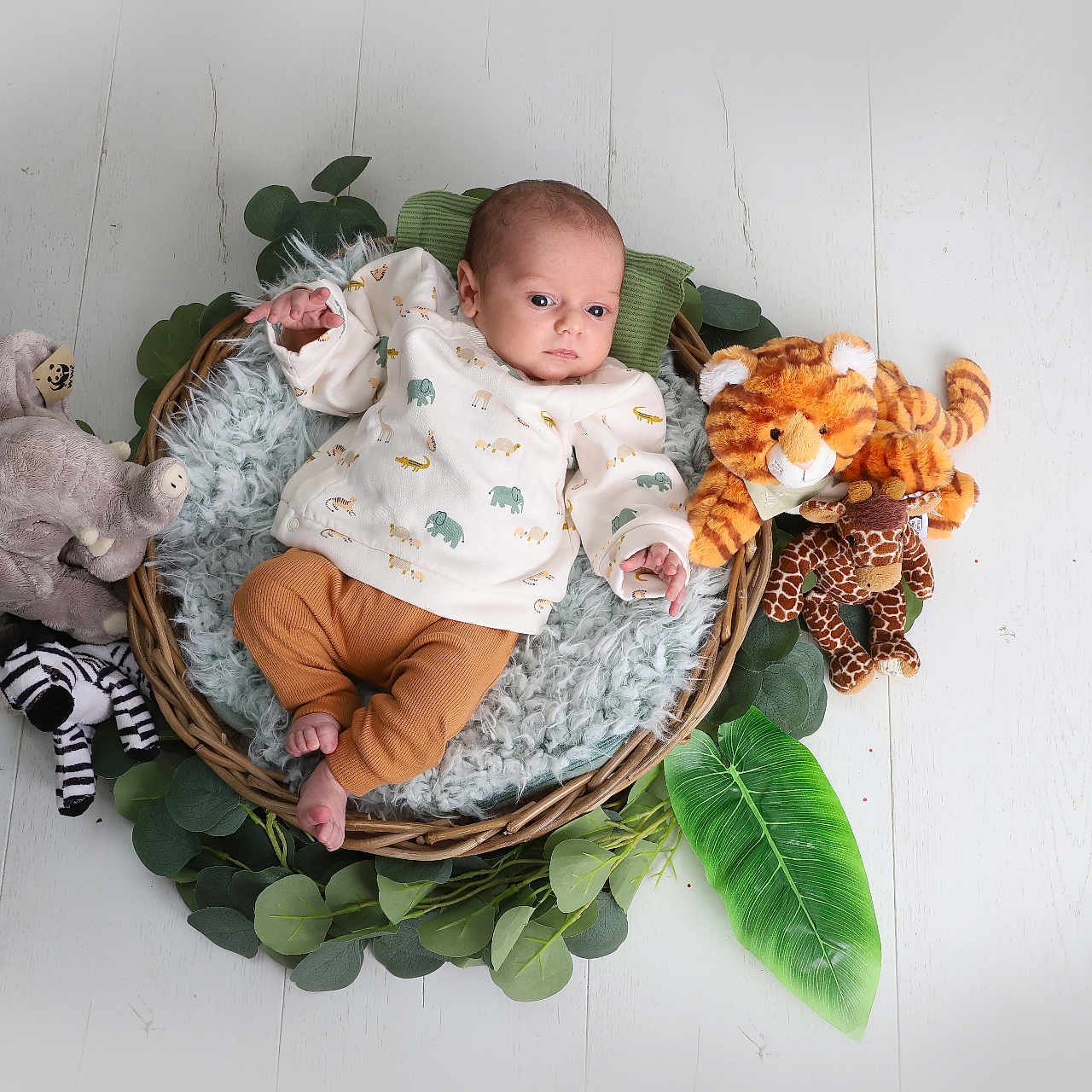 Côme participe au concours pour gagner de l'argent avec cette photo : baby, basket, blanket, crib, face, furniture, head, infantbed, newborn, person, photography, plush, portrait, sitting, sleeping, teddybear, toy