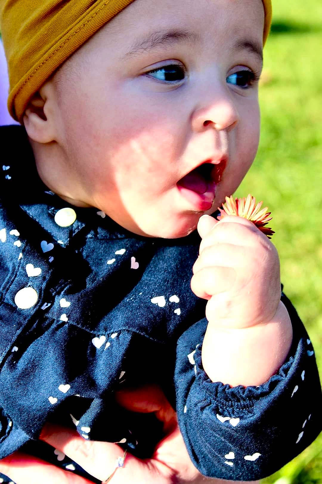 Kyrah joined the competition — help win amazing prizes! baby, baby_toddler_clothing, cap, cheek, cool, eye, face, facial_expression, gesture, grass, hand, happy, headwear, lip, mouth, nose, person, photograph, plant, skin