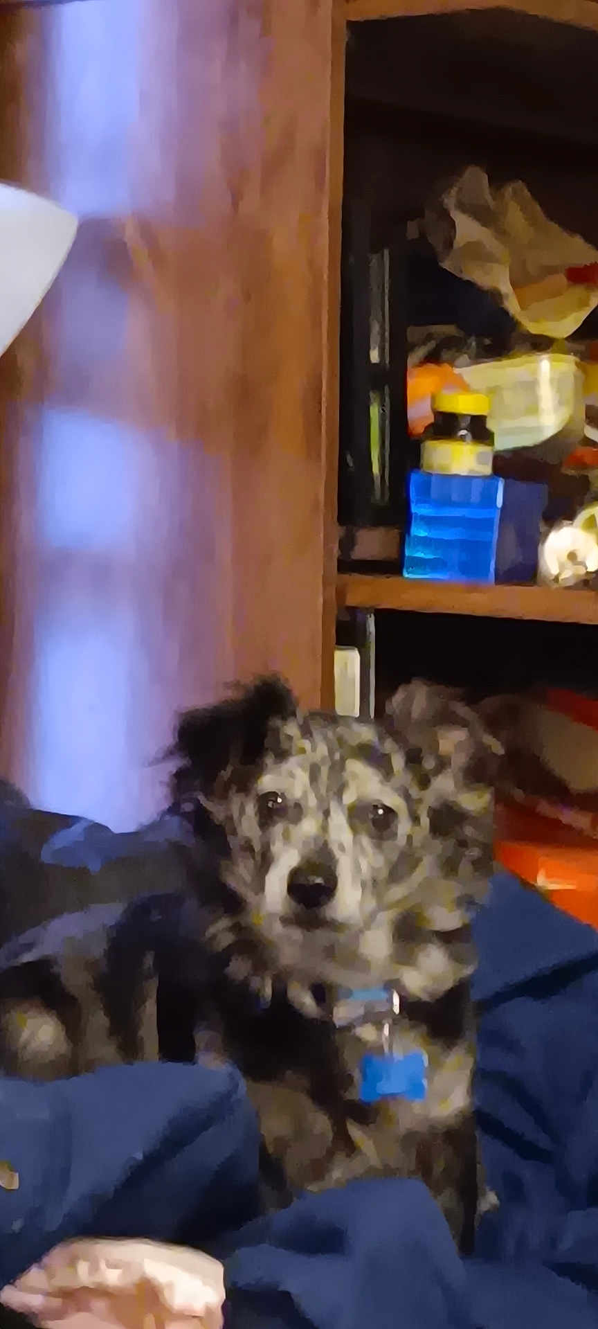 Kenai