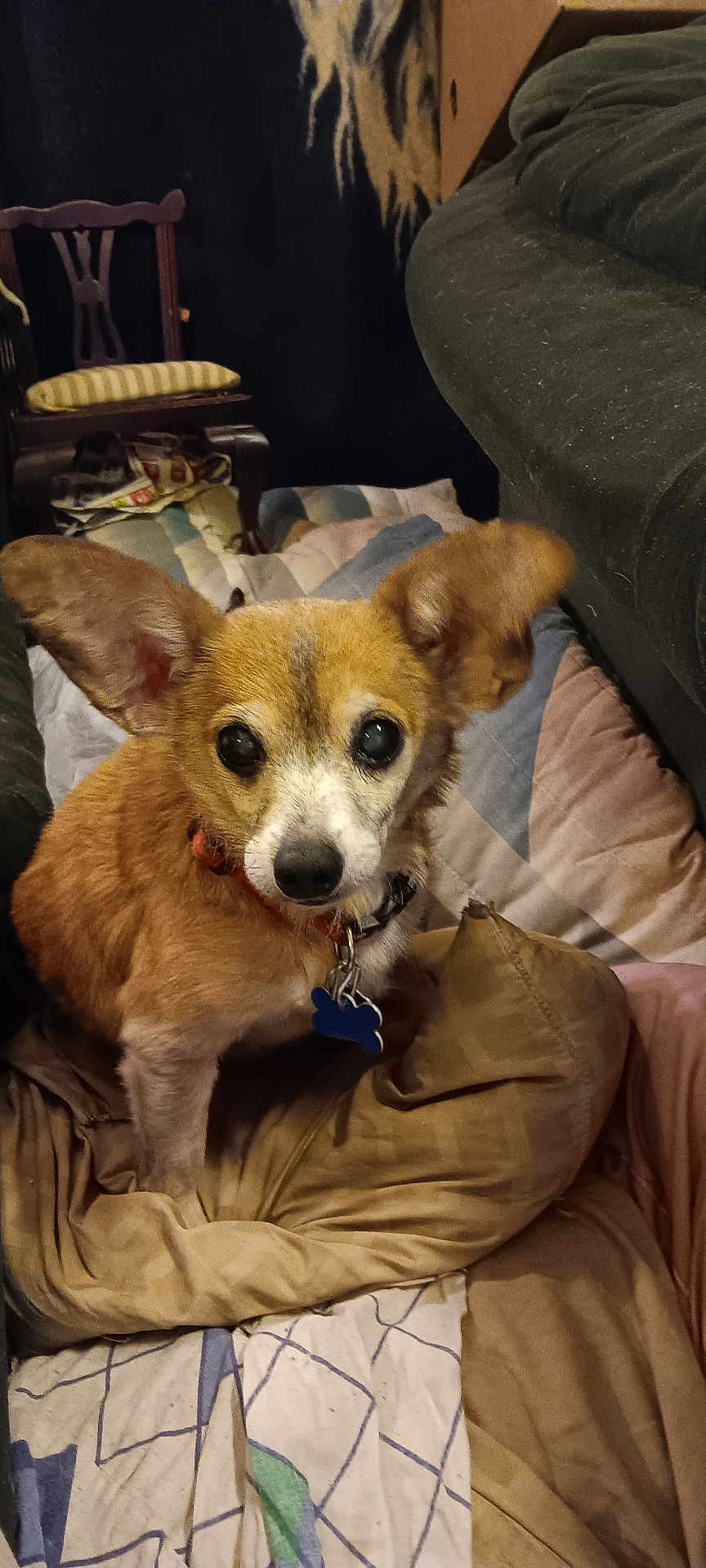 Cooper