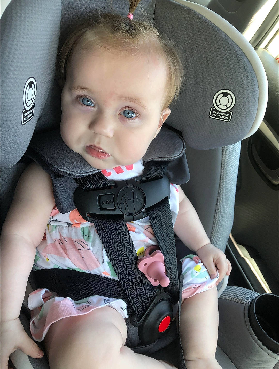 Daisy joined the competition — help win amazing prizes! auto_part, baby, baby_carriage, baby_in_car_seat, baby_products, baby_safety, baby_toddler_clothing, car_seat, car_seat_cover, child, comfort, head, head_restraint, person, product, seat_belt, skin, steering_part, steering_wheel, thigh